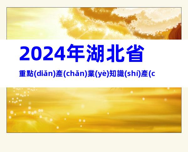 2024年湖北省重點(diǎn)產(chǎn)業(yè)知識(shí)產(chǎn)權(quán)運(yùn)營(yíng)中心項(xiàng)目申報(bào)主體、申報(bào)條件及材料